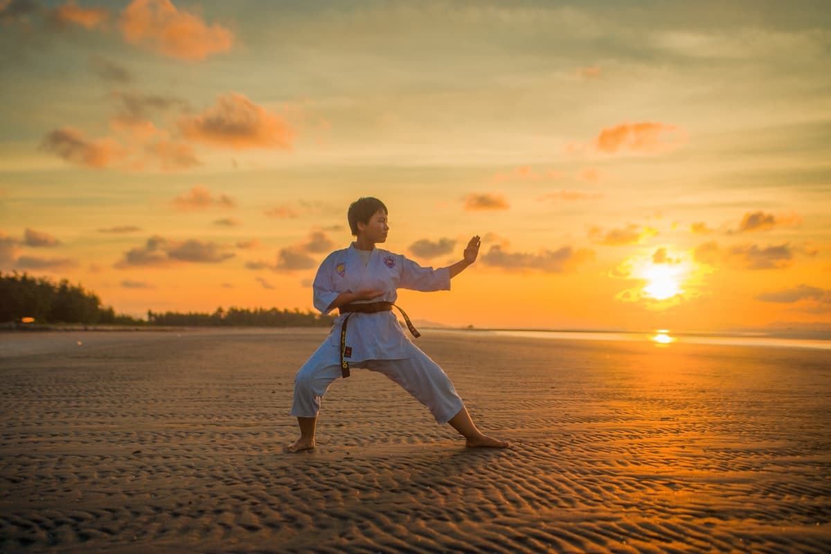 Martial arts school management dashboard